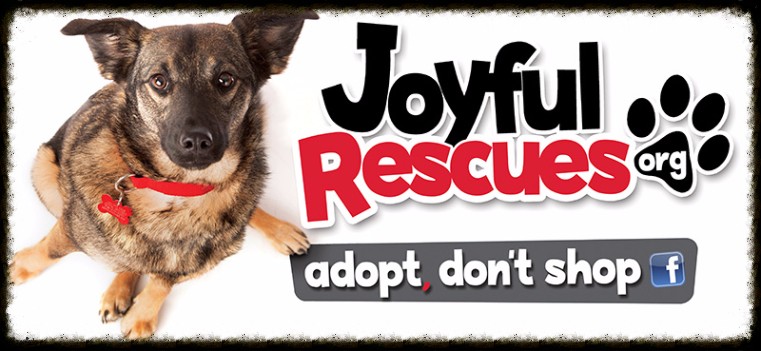 Joyful Rescues - Non-profit Animal 