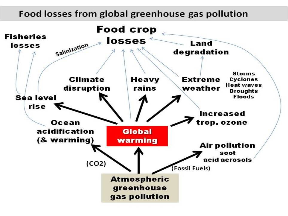 Climate Food Science Page