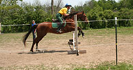 Jumping Lesson