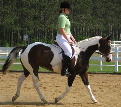 Sarah Dressage