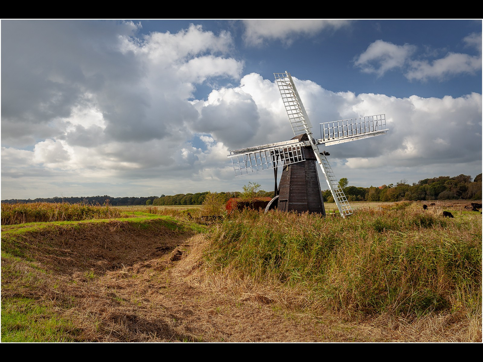 Herringfleet Windmill_DPI