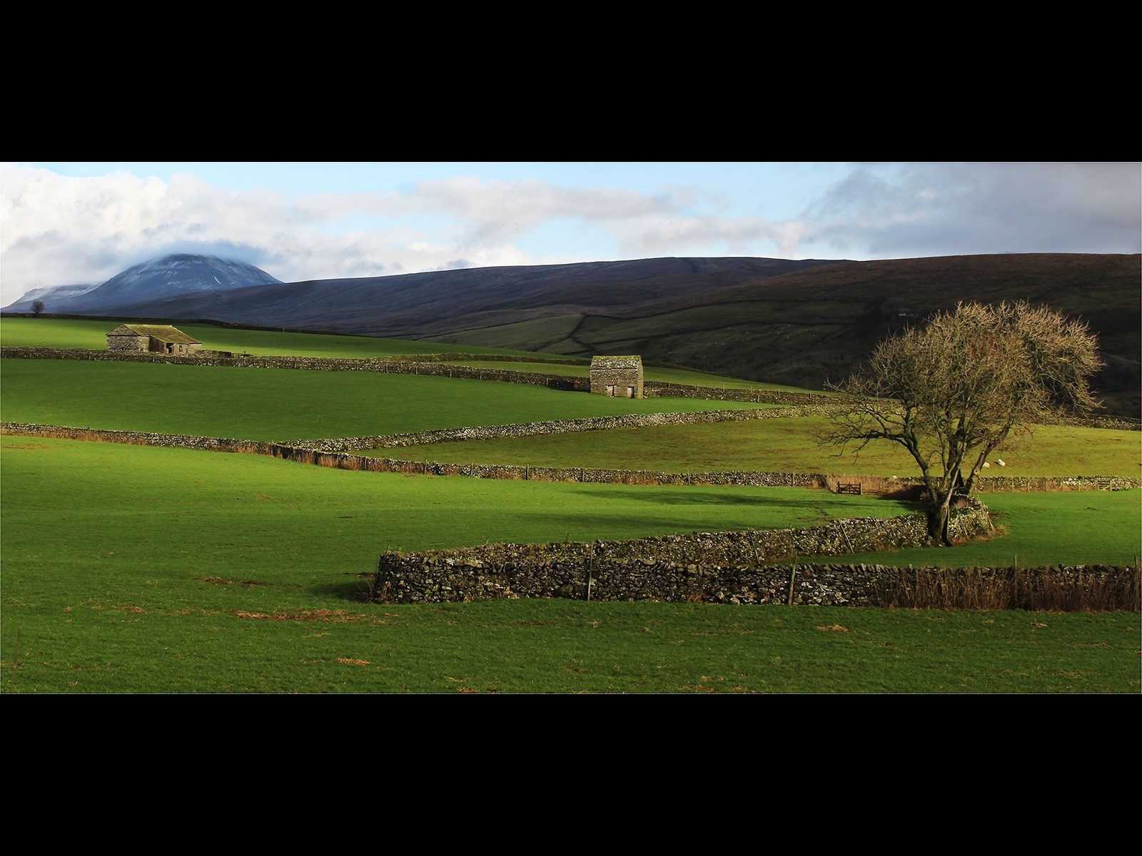 Light on the Land - Yorkshire Dales