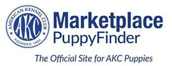 Akc marketplace hot sale