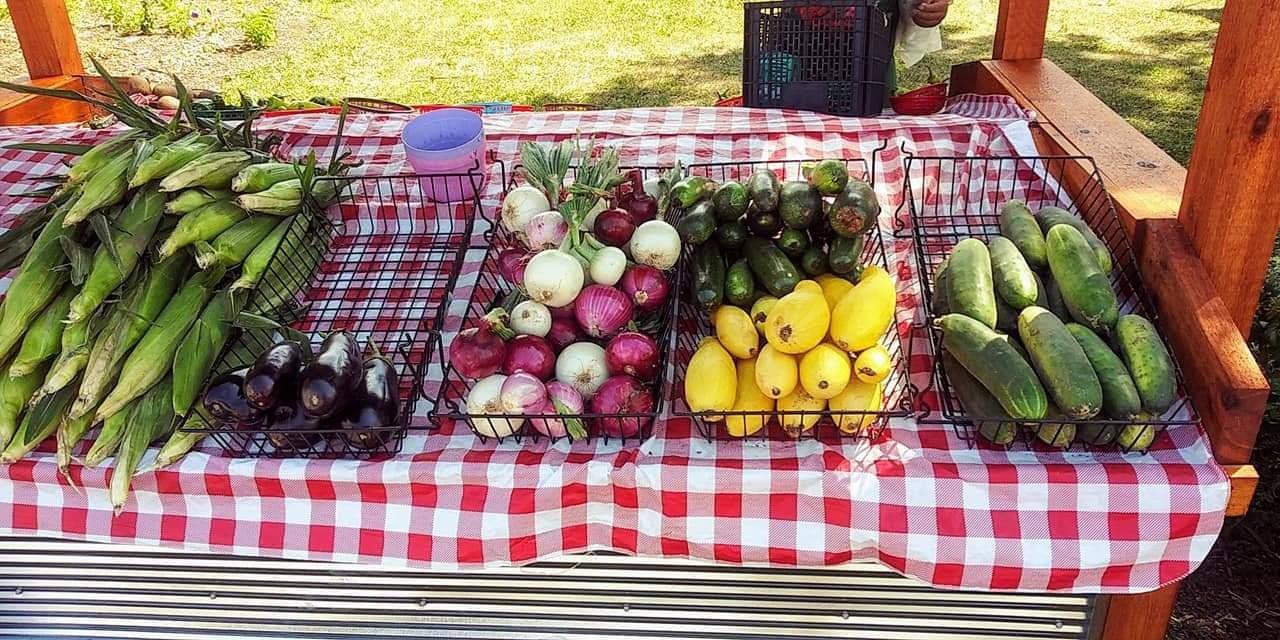 A Great Oasis Produce Stand In A Great Neighborhood - Martin Drive