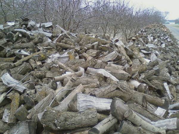 Seasoned oak and madrone firewood