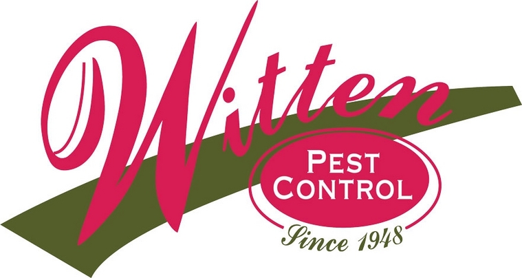 San Antonio Pest Control