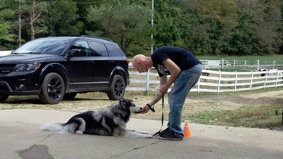 Best dog trainer in the West