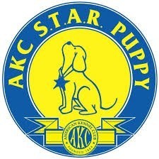 AKC Star Puppy Testing