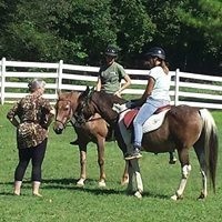 Virtual Online Horse Riding Lessons
