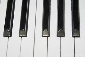 Piano Keyboard A to G Music School Sutton London