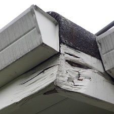Roof Eave Image