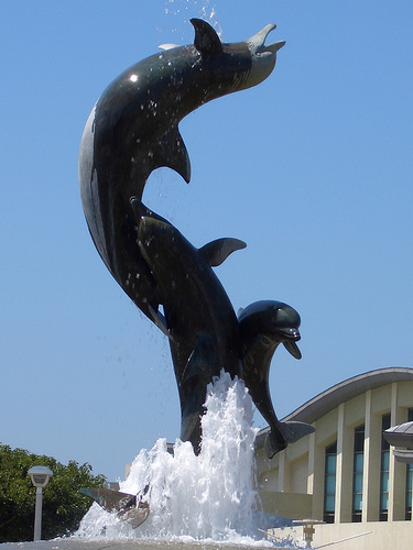 dolphin fountain