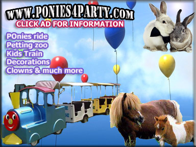 ponies petting zoo ad for pool fence