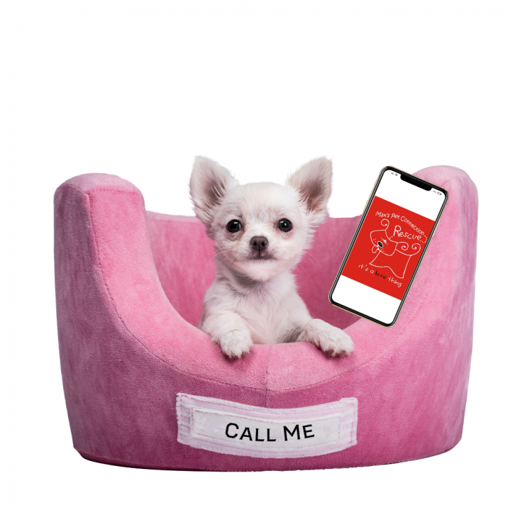 Contact Max's Pet Connection Rescue