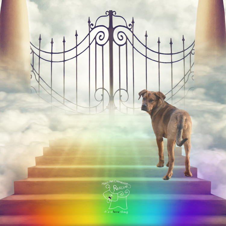 Rainbow Bridge Memorial