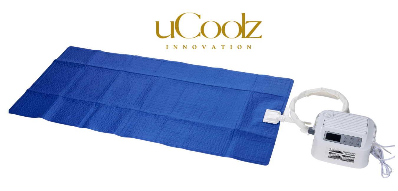 Dual Temperature Controlled Mattress Pad Air Conditioner Bed