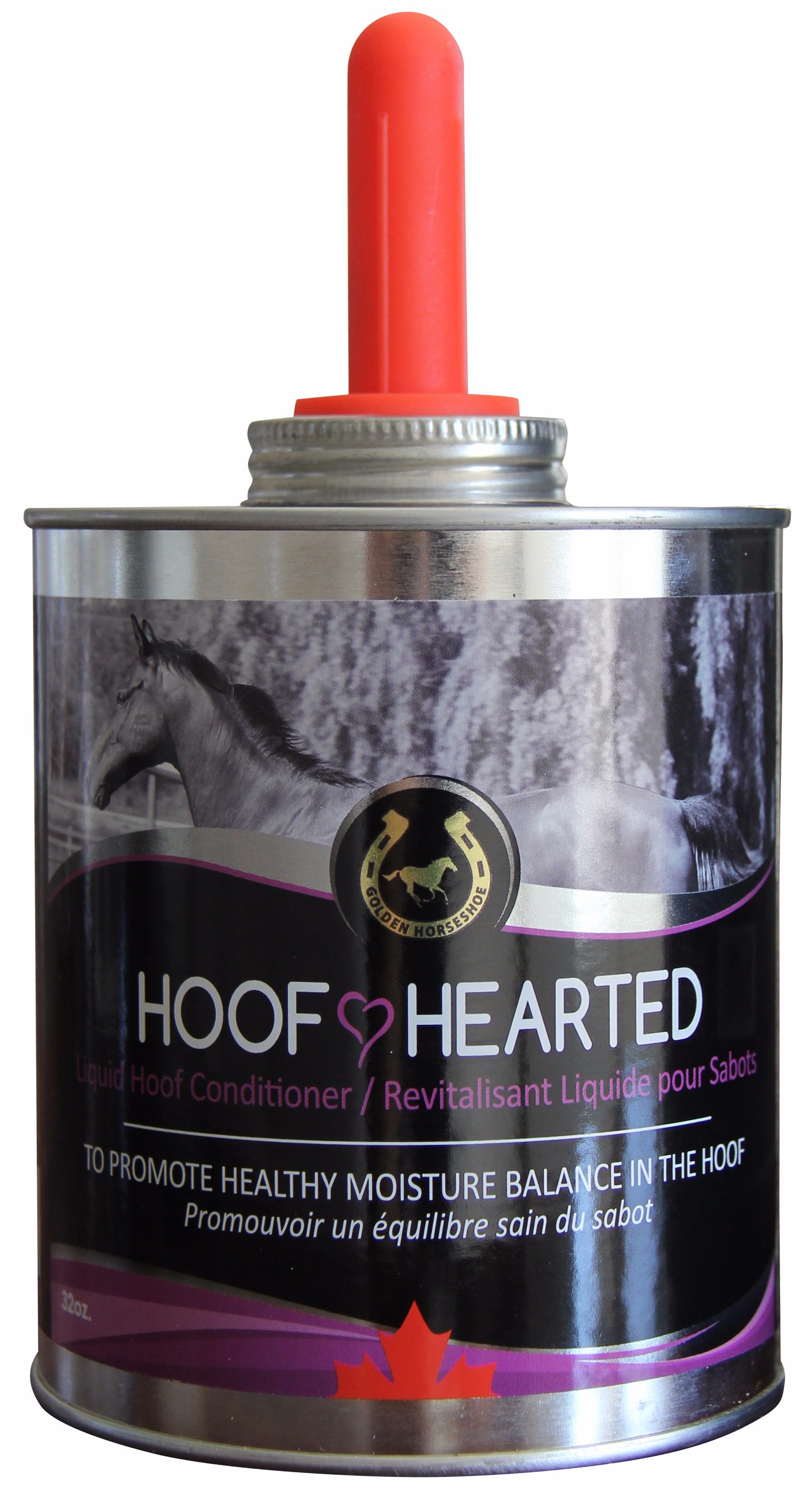 Hoof Care