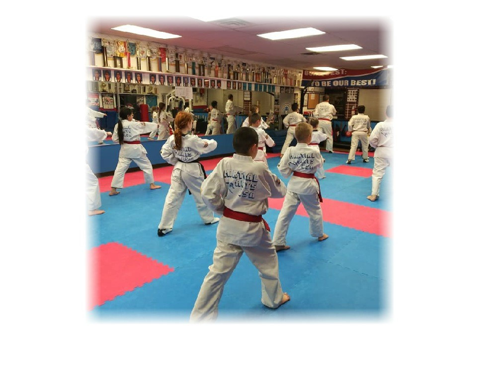 Martial Arts USA