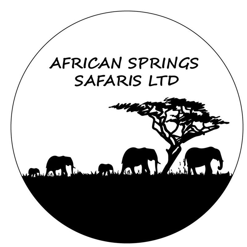 African Spring Welcome Contact