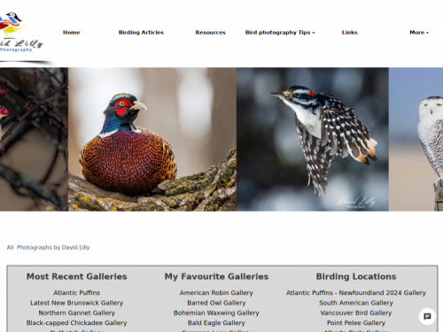 www.davidlillyphotography.com