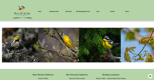 www.davidlillyphotography.com