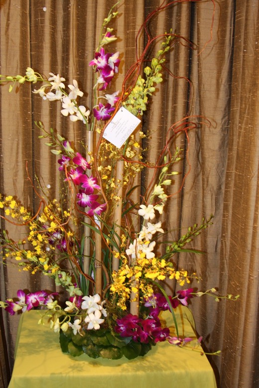 Orchid Splendor by belle fleur