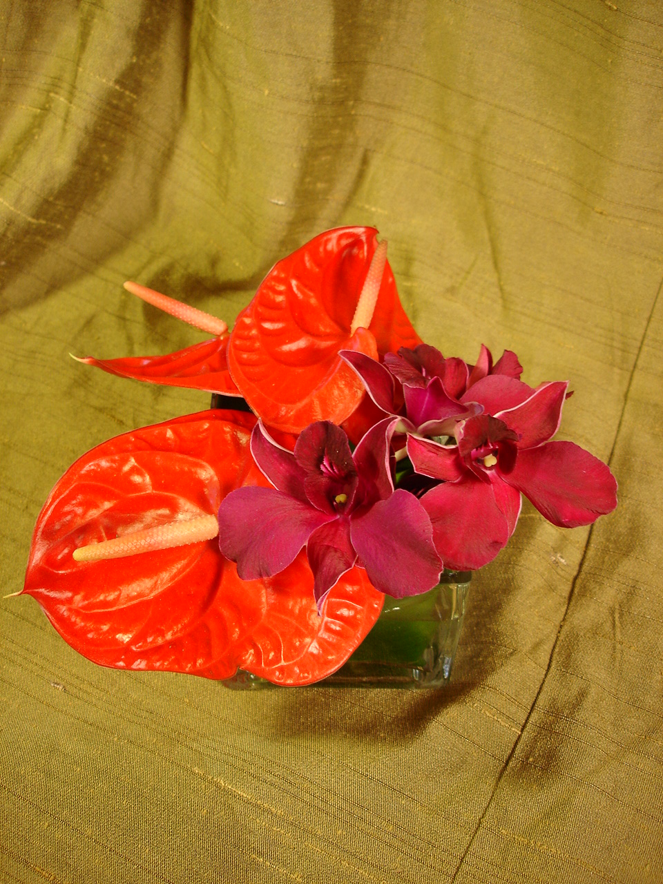 Open Hearth Shape Anthuriums by belle fleur