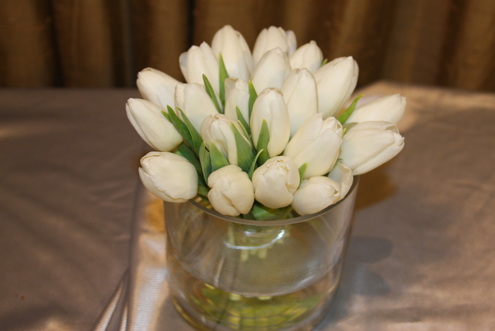 Alluring Tulips Festival by belle fleur