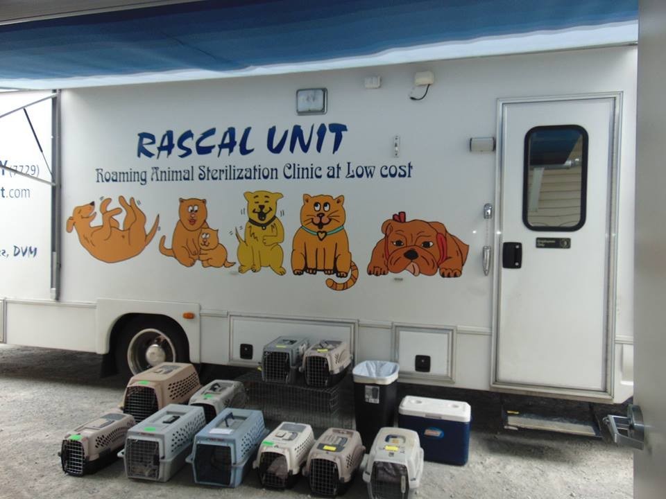 Rascal Unit Schedule 2022 Hardin County Humane Society