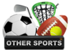 Football, Lacrosse, Soccer, Wrestling Promotional Entertainment