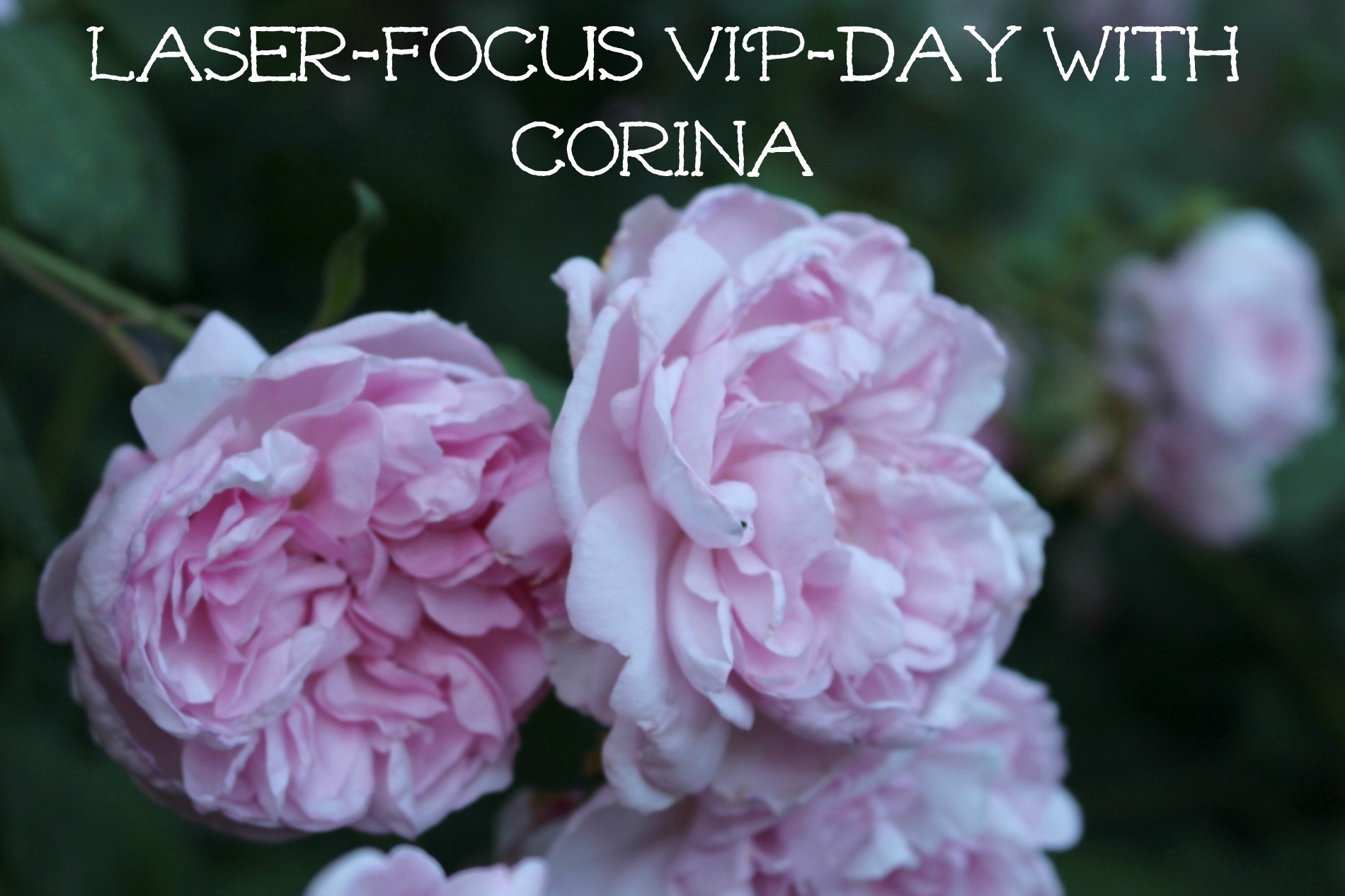 Marblemount Homestead