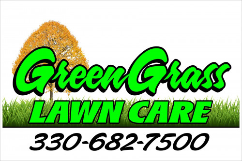 Green grass lawn deals care