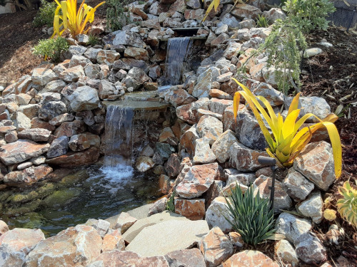 Low Water Landscape Design