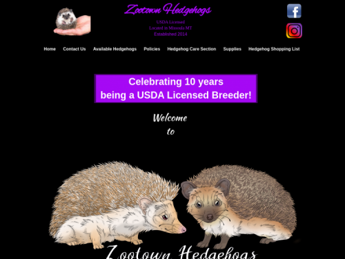 www.zootownhedgehogs.com