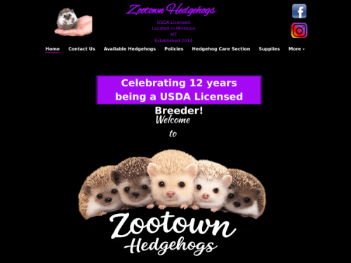 www.zootownhedgehogs.com