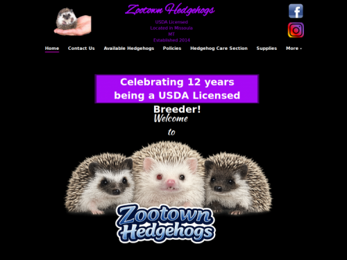 www.zootownhedgehogs.com