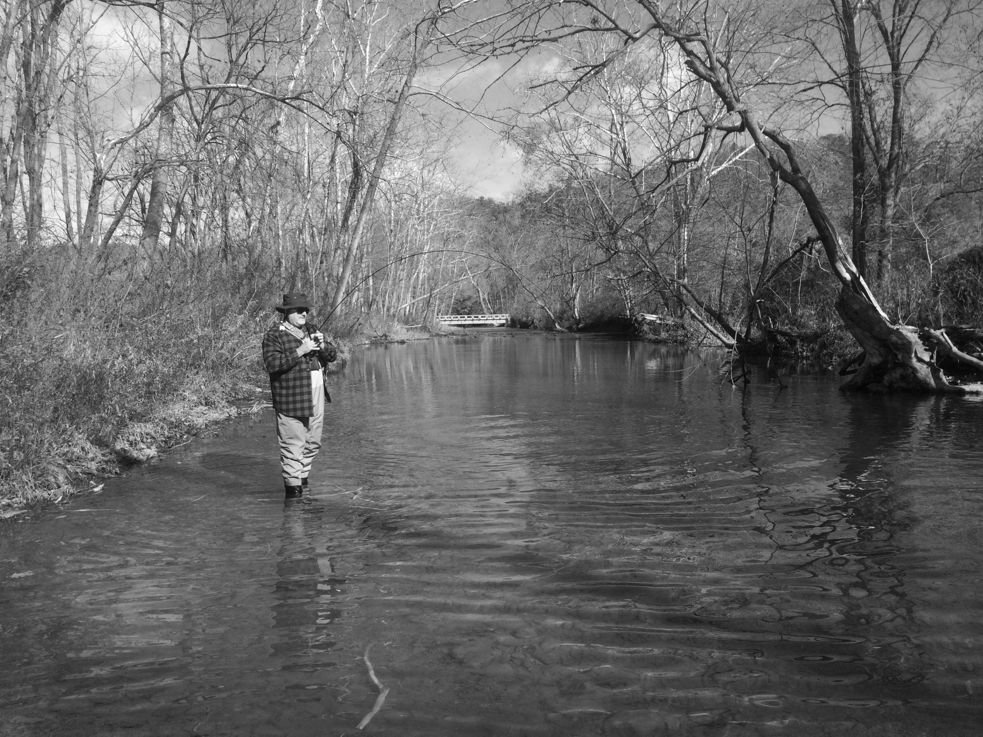 guided-fly-fishing