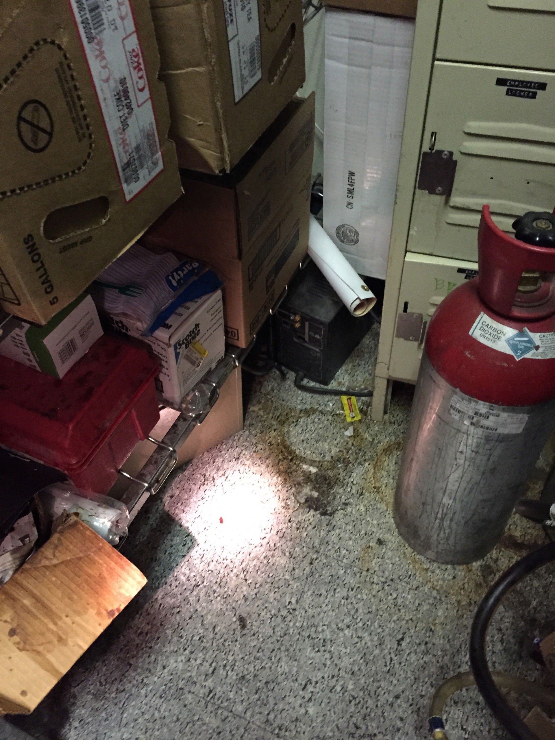 A Reliable Pest Control