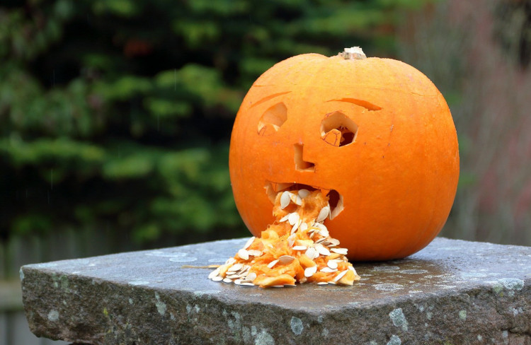 A pumpkin with a face carved into it and pumpkin seeds and gooey pumpkin coming out of its mouth as if it's vomiting